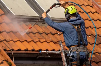 Démoussage et hydrofuge de toiture à Château-Gaillard